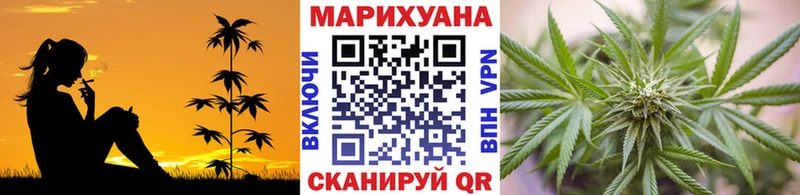 закладка  Карабулак  Каннабис сатива 